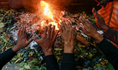 ঢাকায় যে কারণে হঠাৎ এত শীত