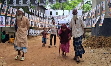 উপজেলা পরিষদ নির্বাচনে বিজয়ী হলেন যারা